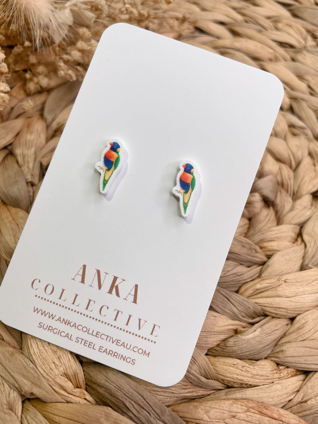 Rainbow Lorikeet Stud Earrings