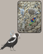 Magpie Keychain
