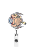 Ocular Diagram Badge Reel